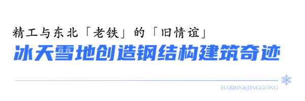 2024新奥门原料免费资料