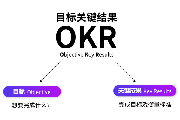 2024新奥门原料免费资料